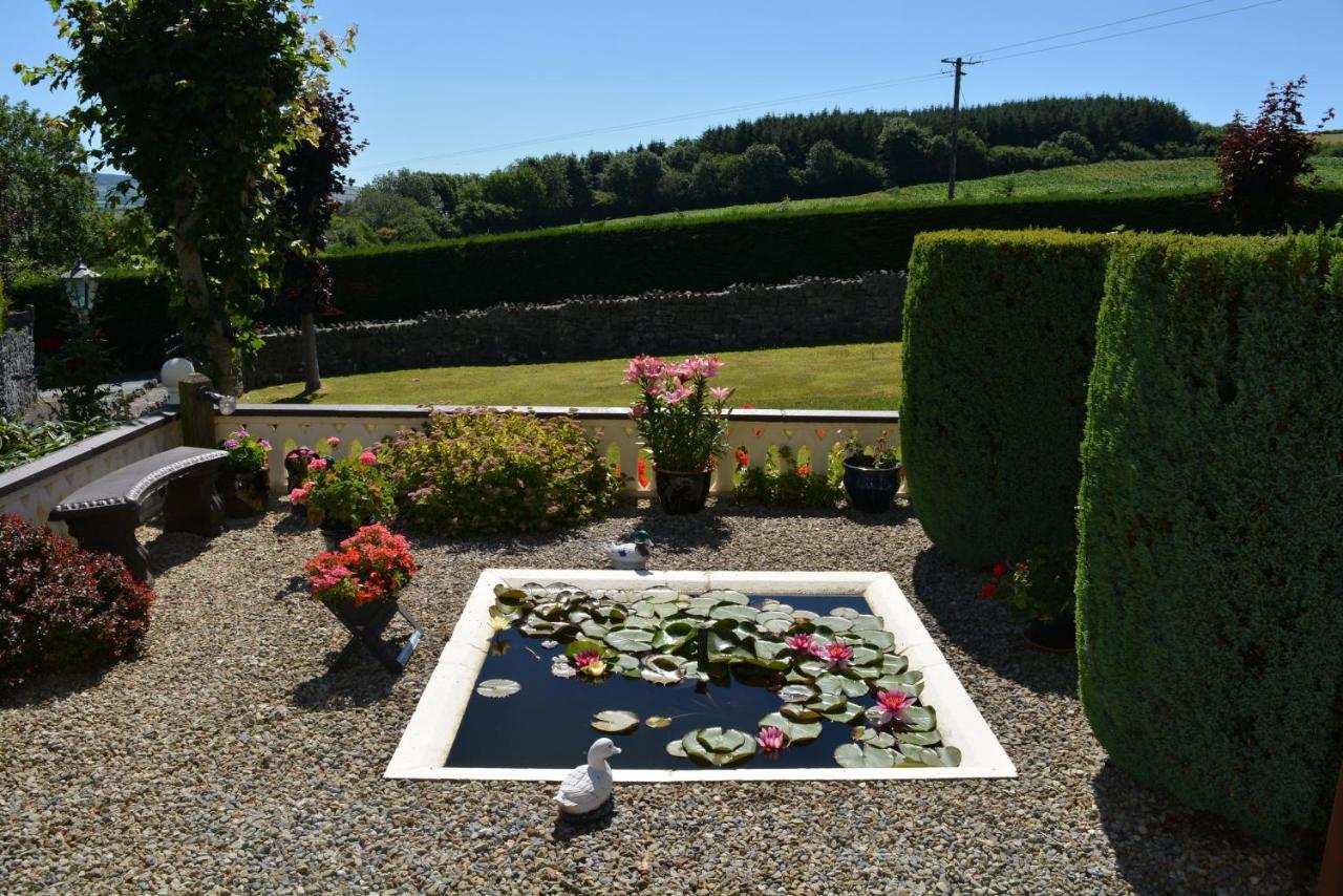 Weir view Bed&Breakfast Durrow Exterior foto
